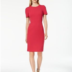 Calvin Klein Scuba Sheath (Pink, Size 6)